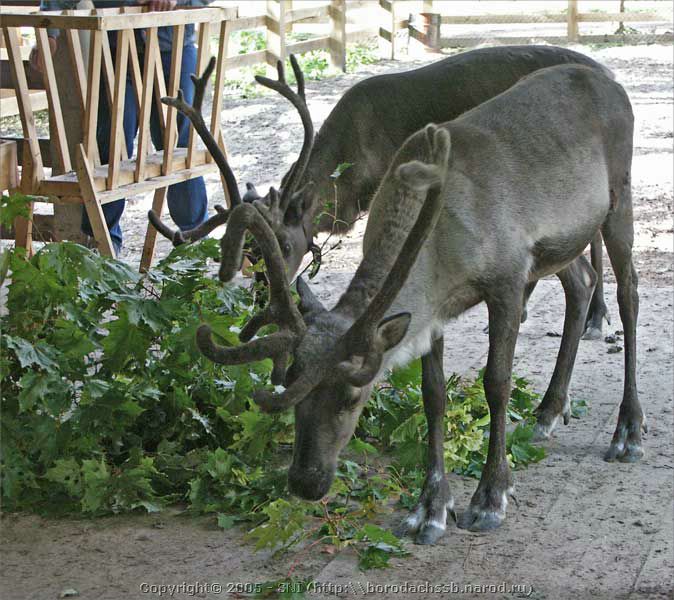 PICT2649.jpg