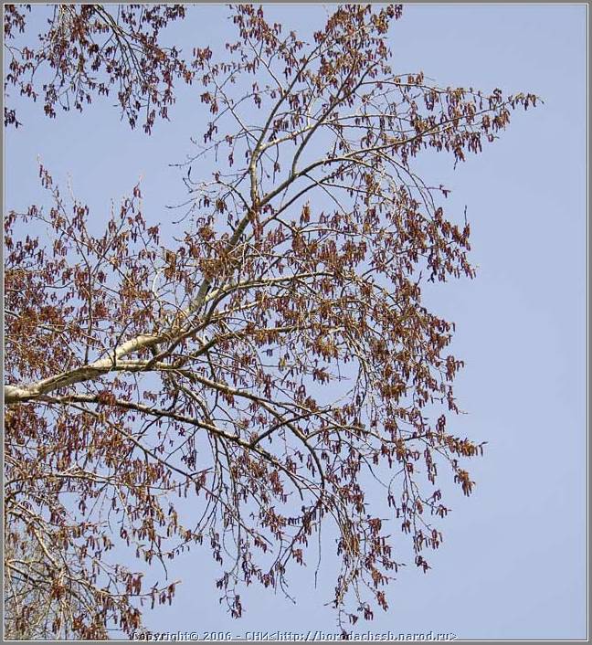 IMG_0030.jpg (124 KB)