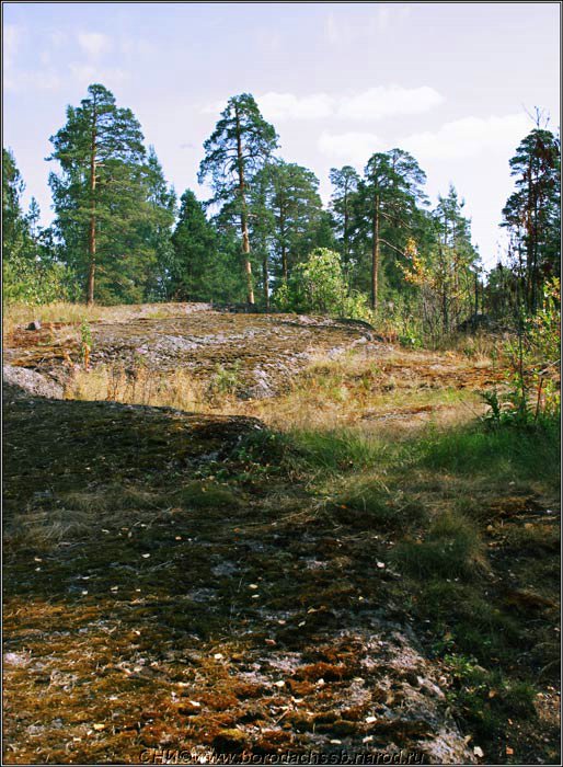 Vyborg0008_RJ.jpg