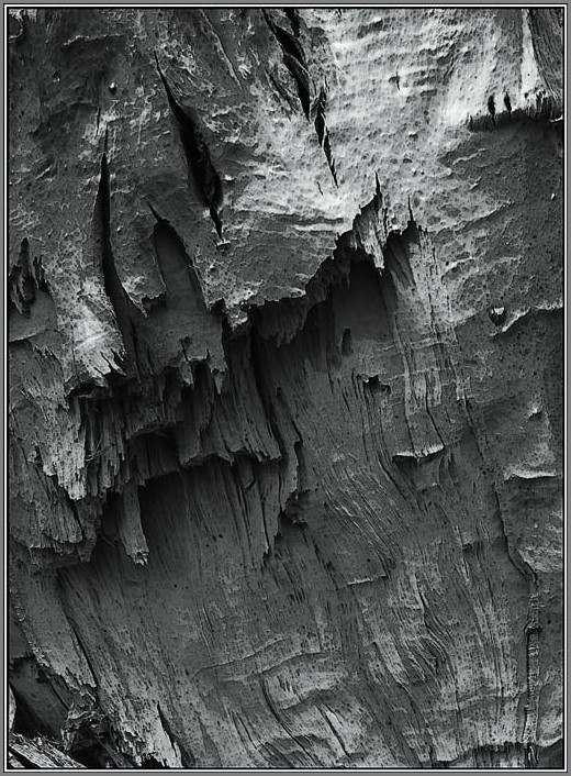 EtnoLand_au130_RJ_1.jpg (153 KB)