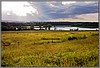 EtnoLand_au177_RJ.jpg(110 KB)