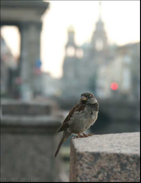 PICT1012.jpg