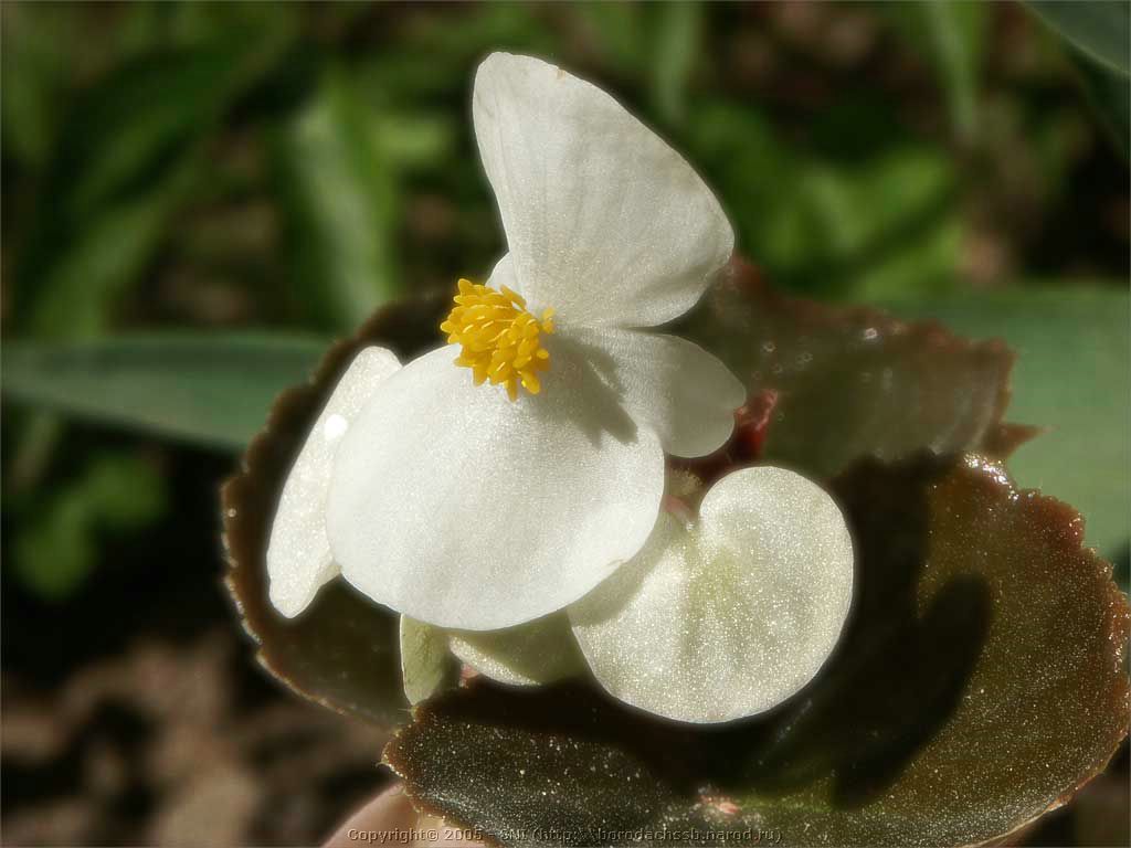 PICT1877.jpg