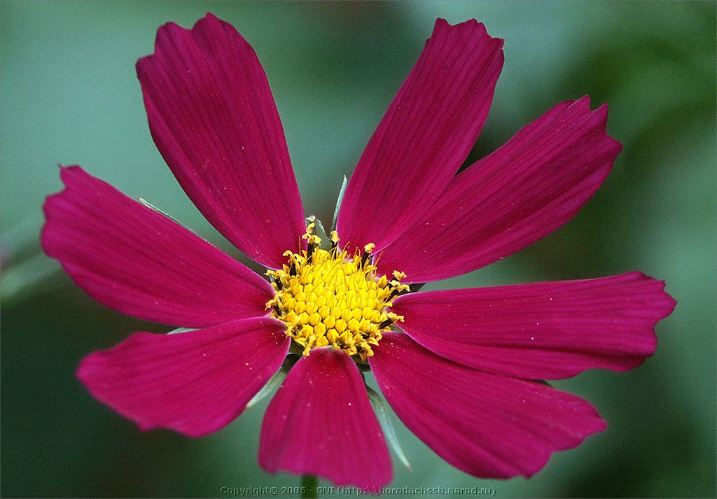 PICT2059.jpg