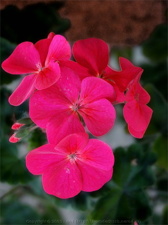 PICT2061.jpg