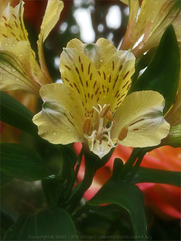 PICT2212.jpg