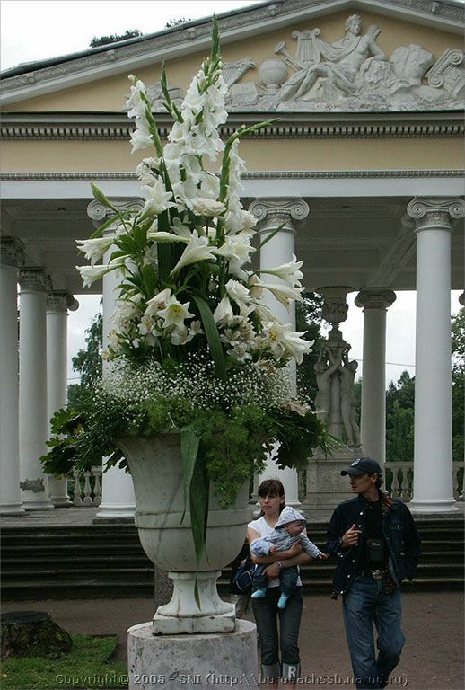 PICT2218.jpg