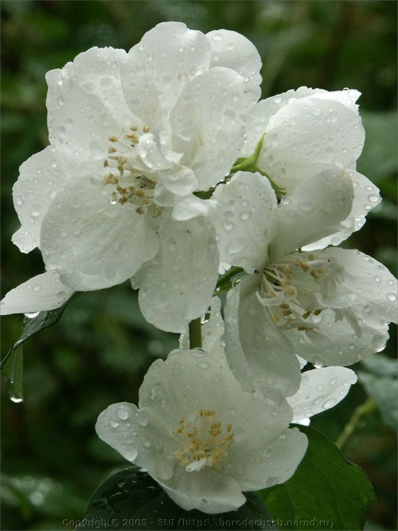 PICT2222.jpg