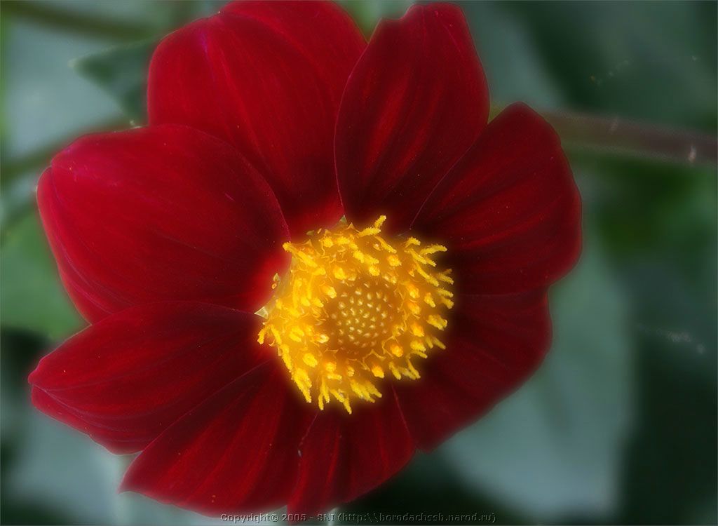 PICT2269.jpg