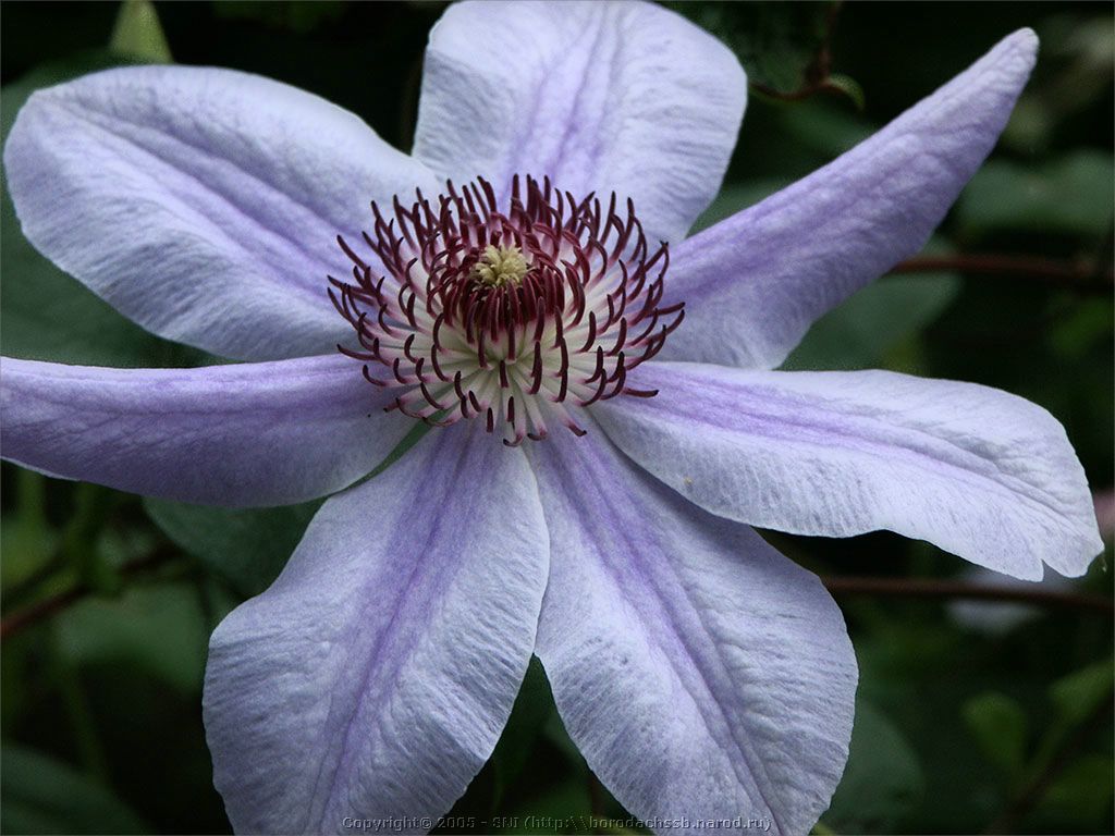 PICT2273.jpg