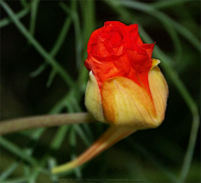 PICT2310.jpg