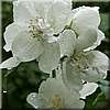 PICT2222.jpg